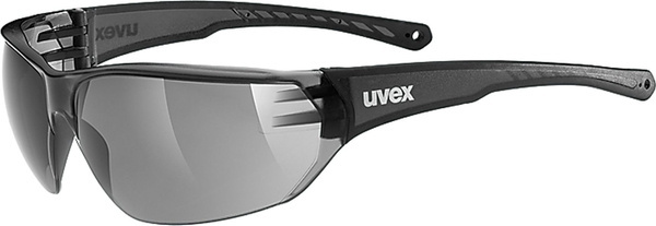 Okulary Uvex Sportstyle 204 smoke z szybą smoke 53/0/525/2110/uni