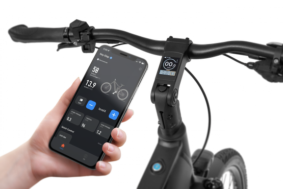 EcoBike rower elektryczny MX500 21" graphite V2+ bateria X500 LG 48 20AH