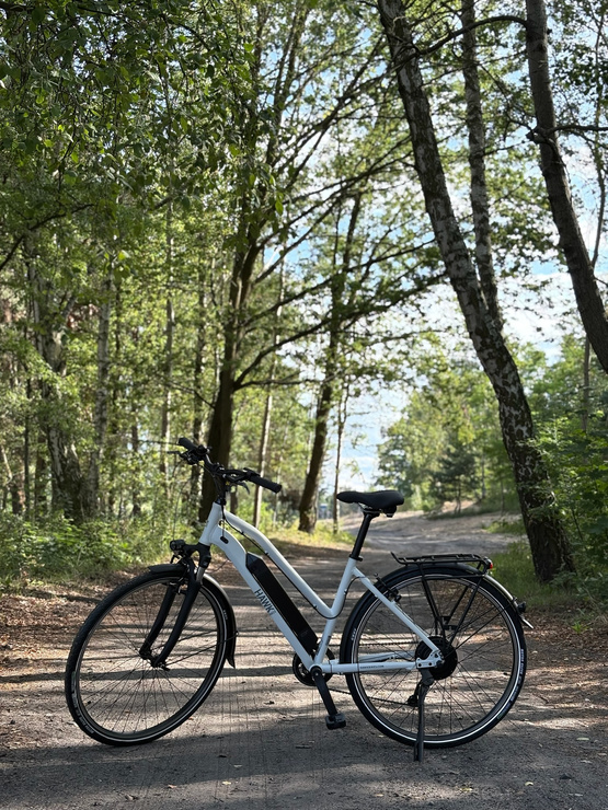 Rower Elektryczny 28" HAWK E-Trekking BAFANG Lady 46 cm Matt Morning Gray