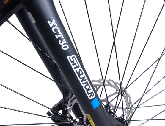 Rower elektryczny górski 29" Prophete Graveler 19" Blaupunkt