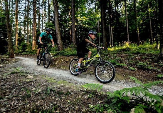 KELLYS Lumi 30 Aqua (20") rower D1