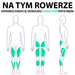 Rower magnetyczny M6995 HMS