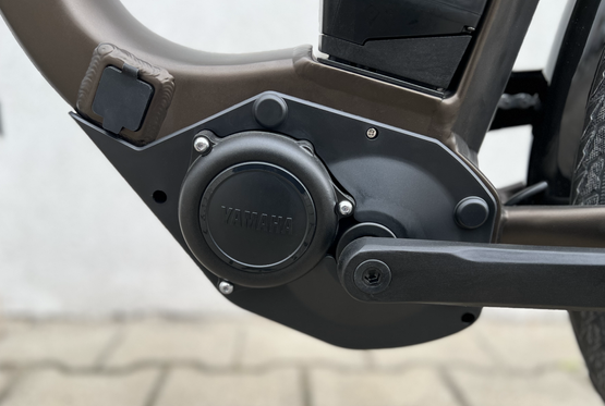 Raymon Cityray E 4.0 50 cm rower elektryczny