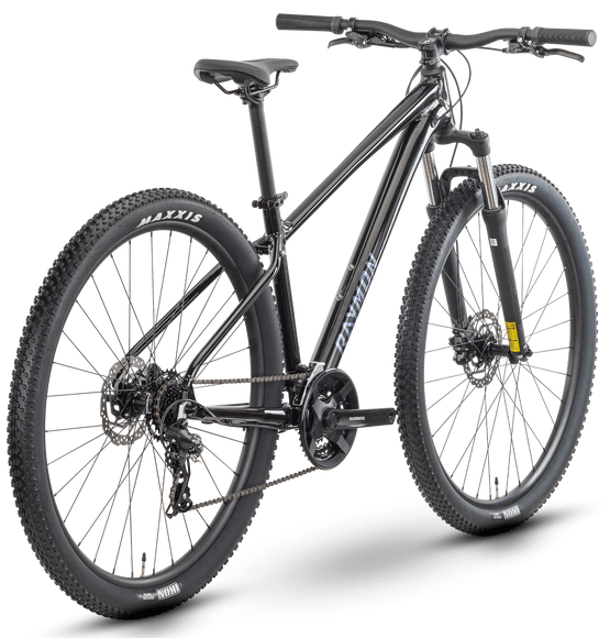 Raymon Nayta 29" L (18") black/iredesciant black MTB rower