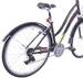Rower trekkingowy Kross Modo 2.0 700 czarno-różowo-zielony S (14") (1P)