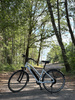 Rower Elektryczny 28" HAWK E-Trekking BAFANG Lady 46 cm Matt Morning Gray