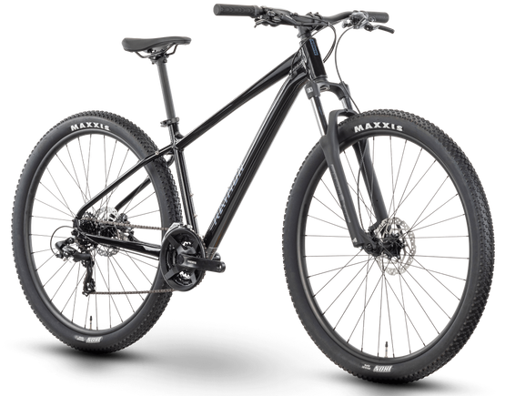 Raymon Nayta 29" M (17") black/iredesciant black MTB rower