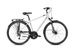 Rower Romet Wagant 4 28 M(19") srebrno-czarny
