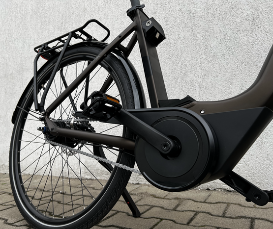 Raymon Cityray E 4.0 55 cm rower elektryczny