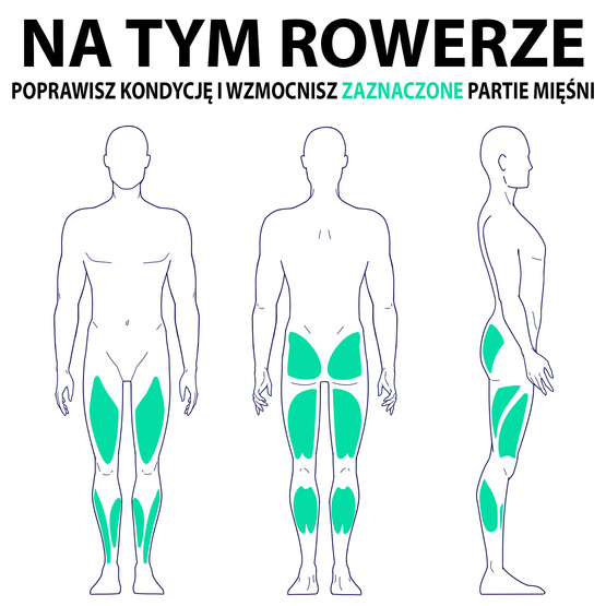 Rower magnetyczny M6995 HMS