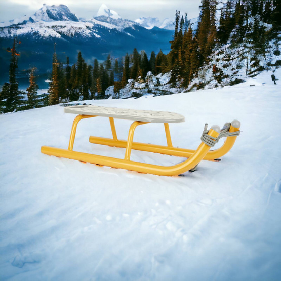 Sanki sportowe złote