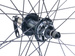 Koło 28 tył MTB o/AG motors czar bez szlif p.alim JOY-D762 czar, HT, 3