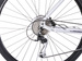 Rower Romet Orkan 4D 28 L(20") srebrno-fioletowy (3S1L)