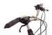 Rower Romet Perlle 1.0 Grafitowy 28" rama 16"