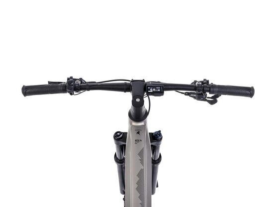Romet e-Monsun 2.0 M(18") 820Wh 29" szampański rower elektryczny